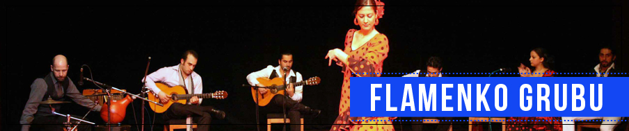 flamenko müzik grubu izmir